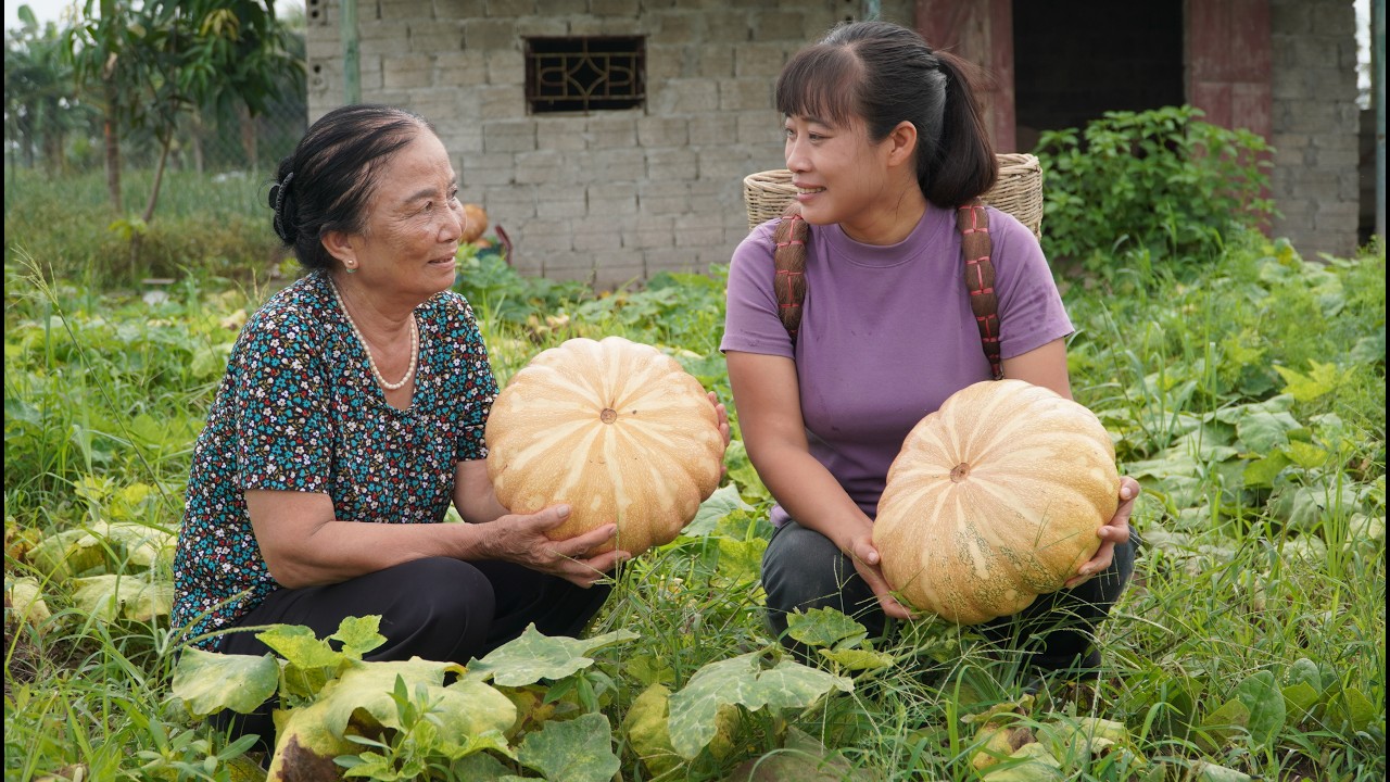 Harvesting giant gourds - small family makes delicious traditional dishes from gourds.