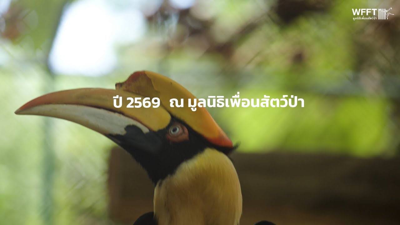 ไฮไลท์ปี 2568 มูลนิธิเพื่อนสัตว์ป่า