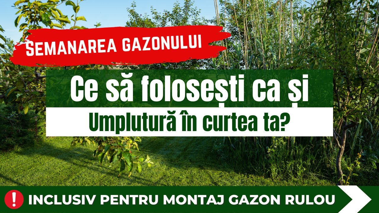 Ce să folosești ca umplutură &icirc;n curte? semintegazon.ro