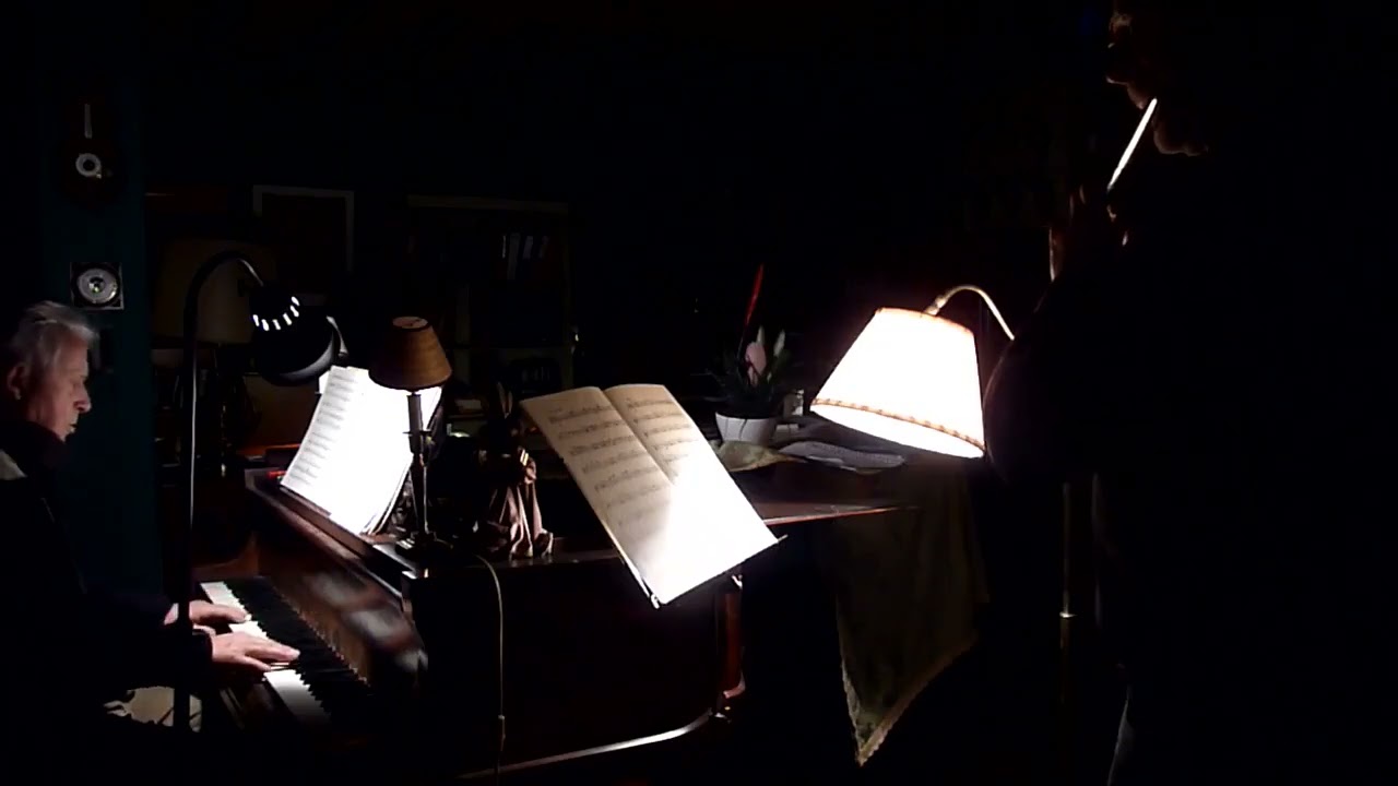 Antonio Vivaldi: ''Largo e cantabile''  (flute & piano).