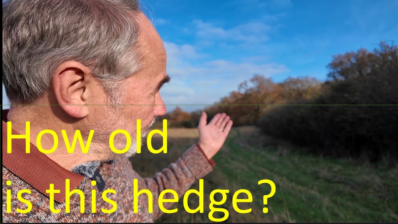Hooper's Rule: ageing hedges