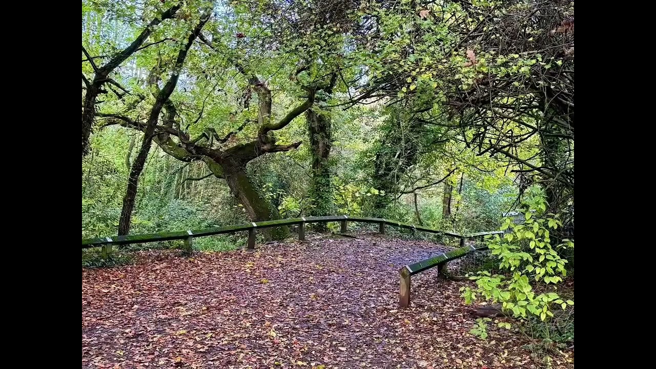 Holmebrook Valley Park