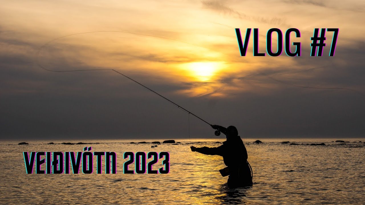 Fly fishing V-Log #7 Vei&eth;iv&ouml;tn 2023 🇮🇸