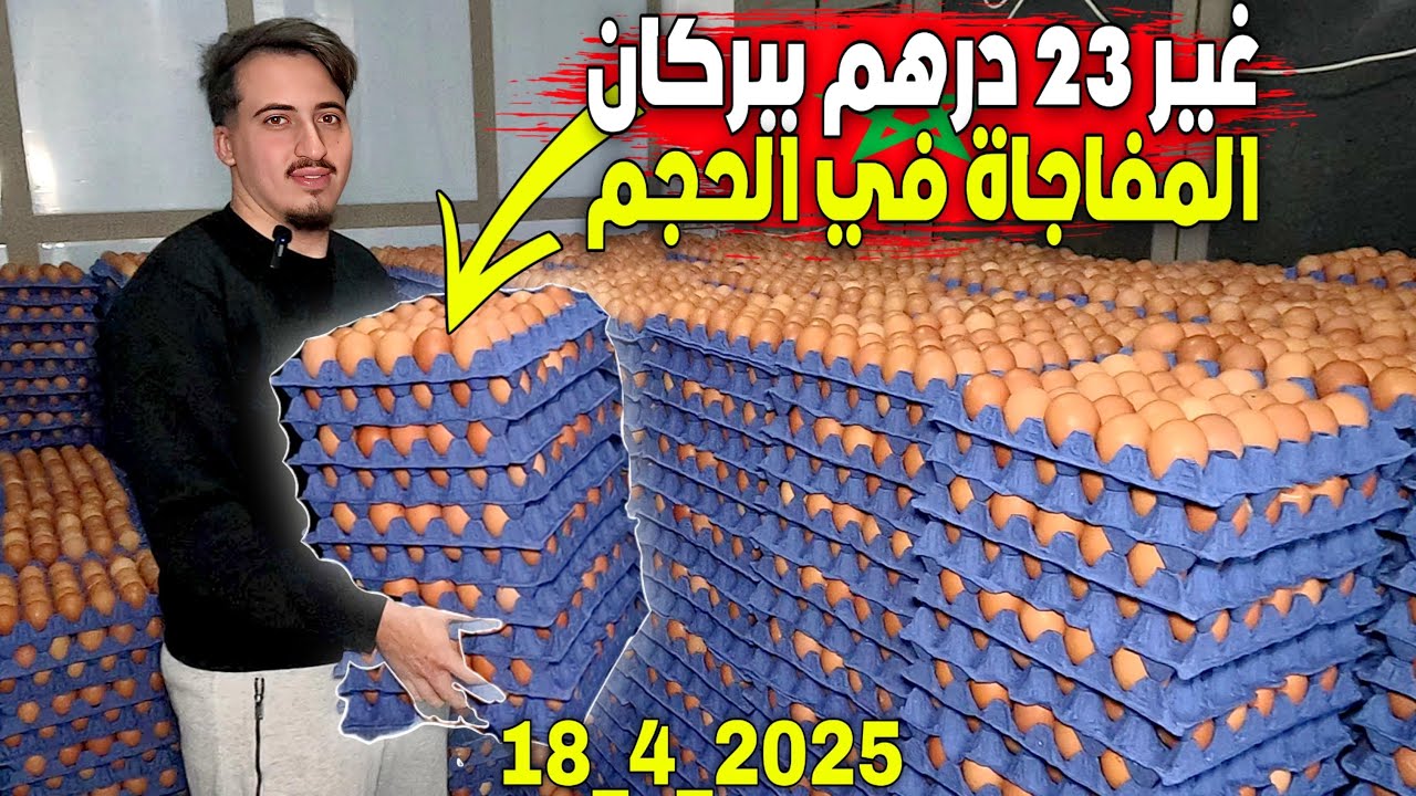 أرخص ثمن: البيض بـ23 درهم فقط والمفاجأة الكبرى فالحجم.. جواد يتحدى الأسعار المشتعلة بمدينة بركان