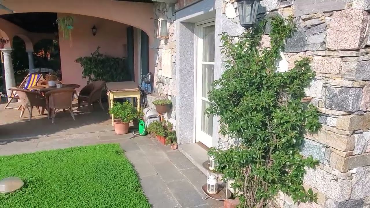 Bouganville, bouganville e ancora bouganville... Al nord ora si può!