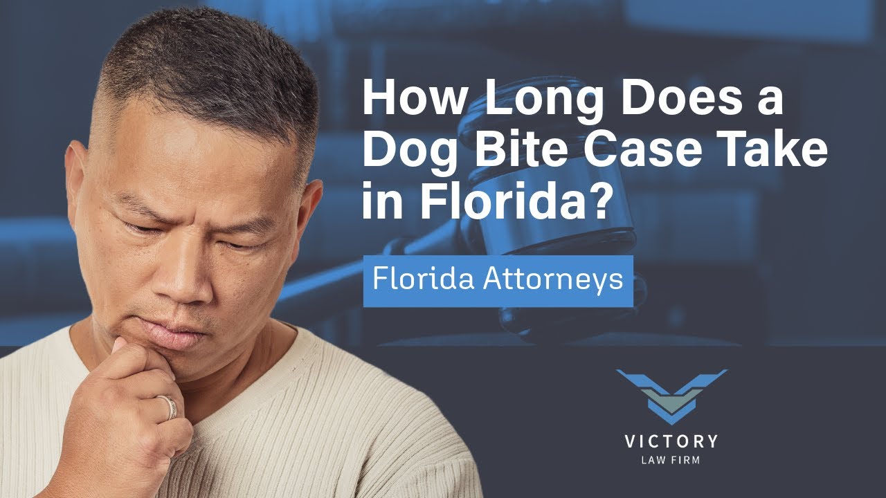 How Long Does a Dog Bite Case Take in Florida? | Free Consultation