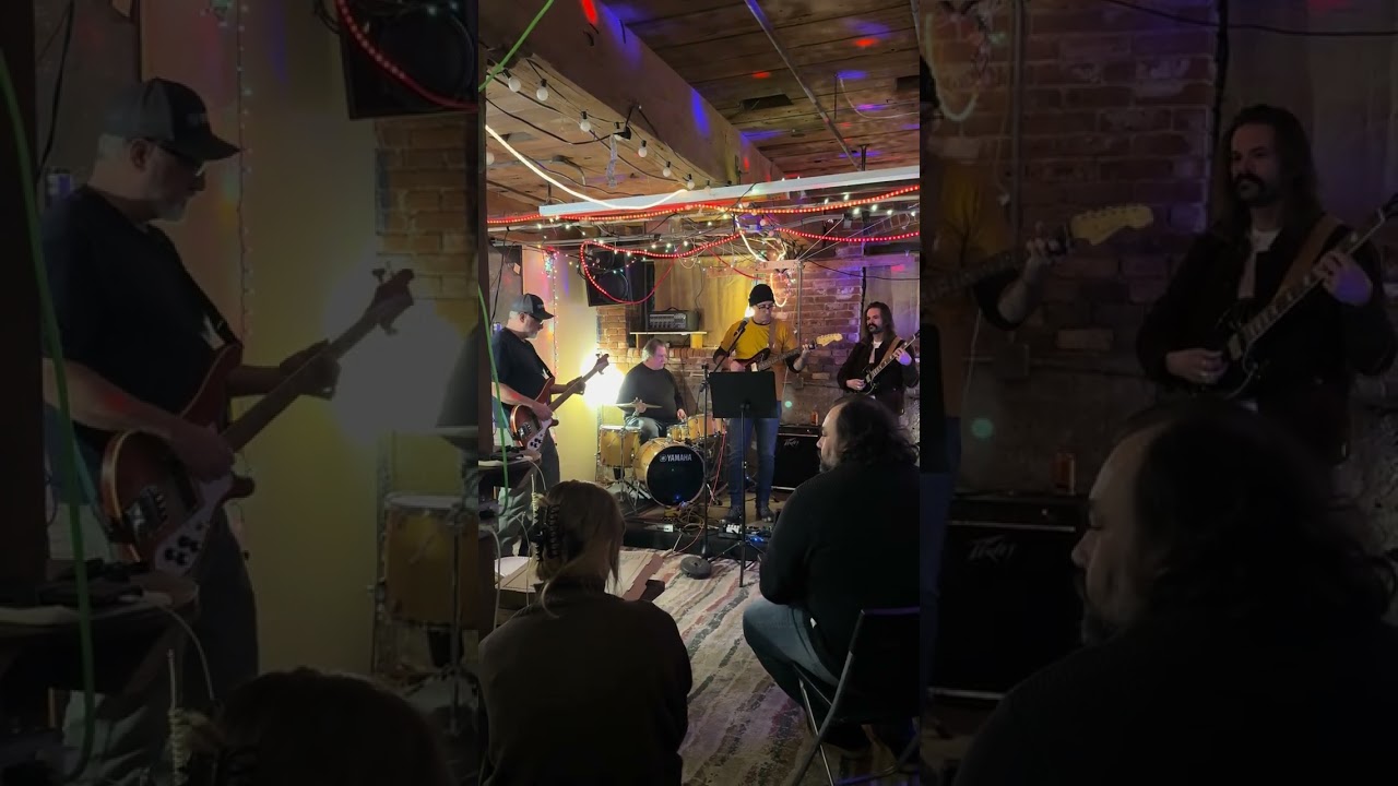 hellebores @ the root cellar, Providence RI, 2.12.26 she don’t wanna know 