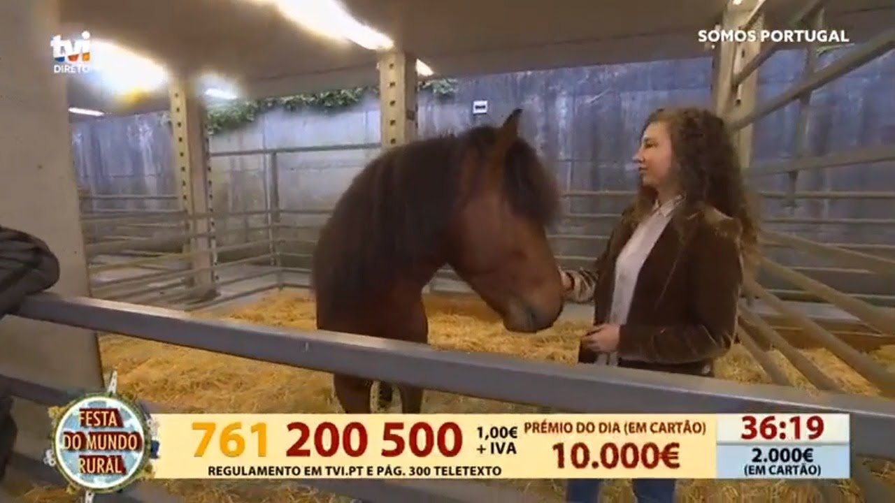 Reportagem sobre o Garrano na Feira 100% Agrolimiano