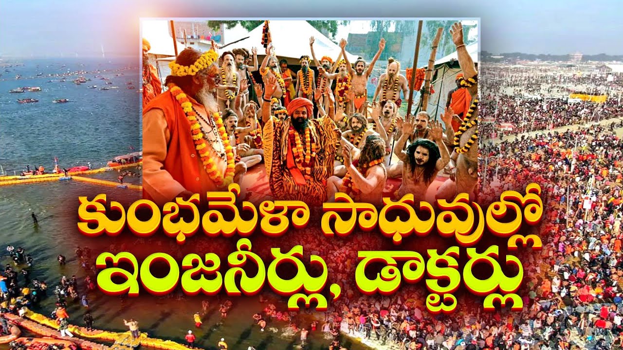 కుంభమేళా సాధువుల్లో ఇంజనీర్లు, డాక్టర్లు | Engineers & Doctors in Maha Kumbh Mela