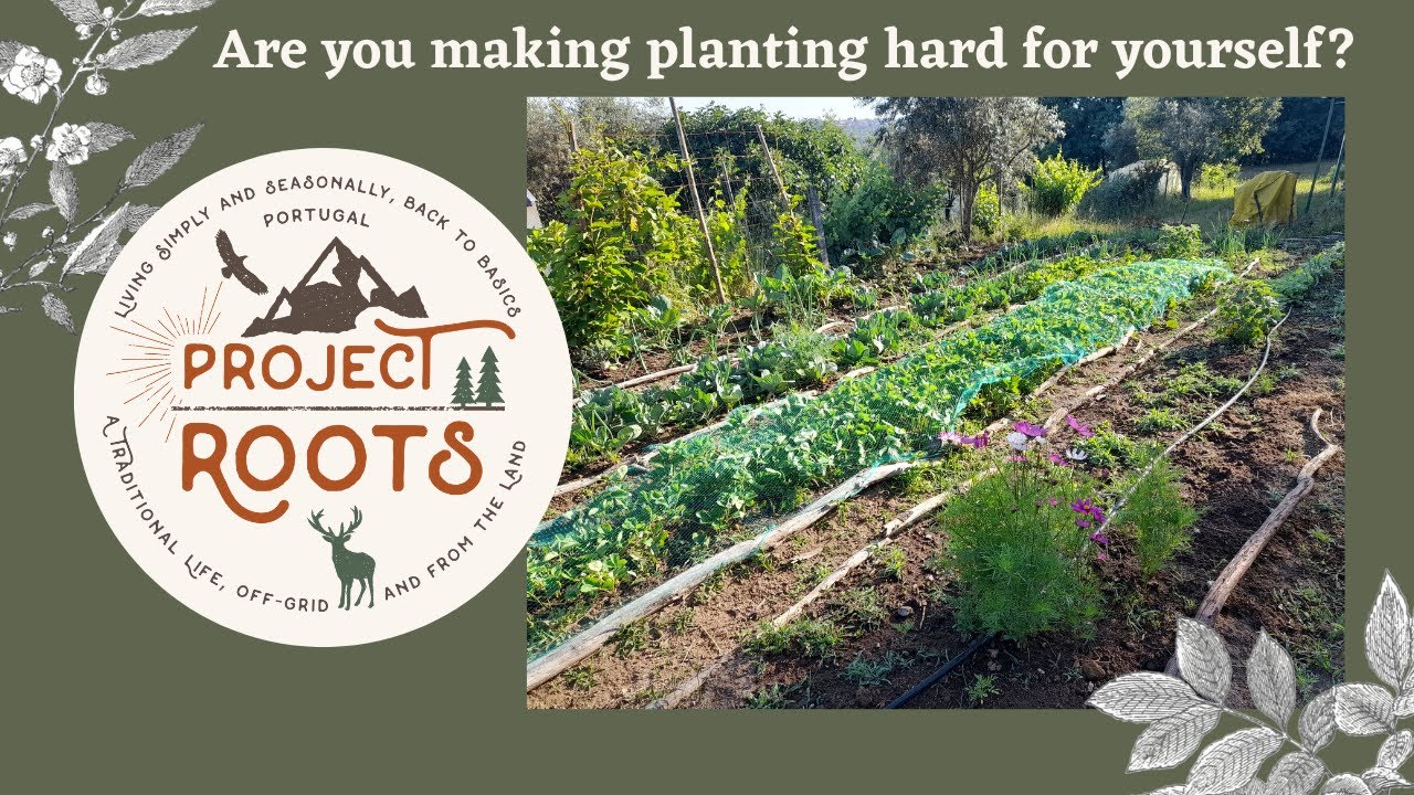 How to know how to plant!