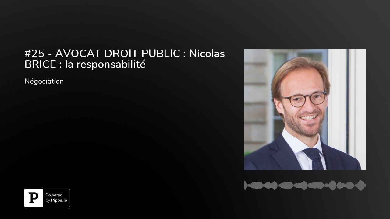 #25 - AVOCAT DROIT PUBLIC : Nicolas BRICE : la responsabilité