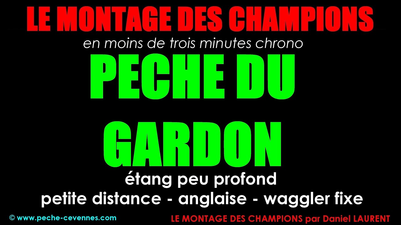 P&ecirc;che facile du gardon en &eacute;tang peu profond, anglaise waggler fixe