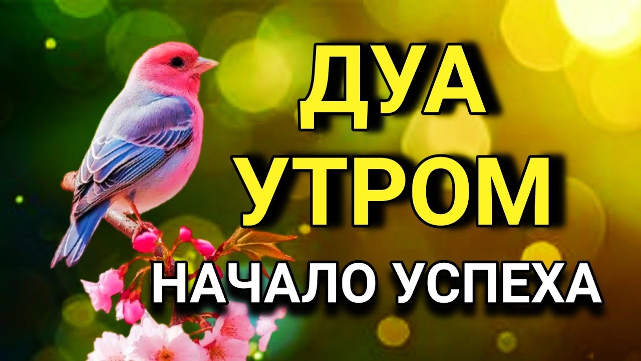 💖🌟 НАЧНИ ДЕНЬ С СИЛЬНОГО ДУА УТРОМ! 🔑💯🤲