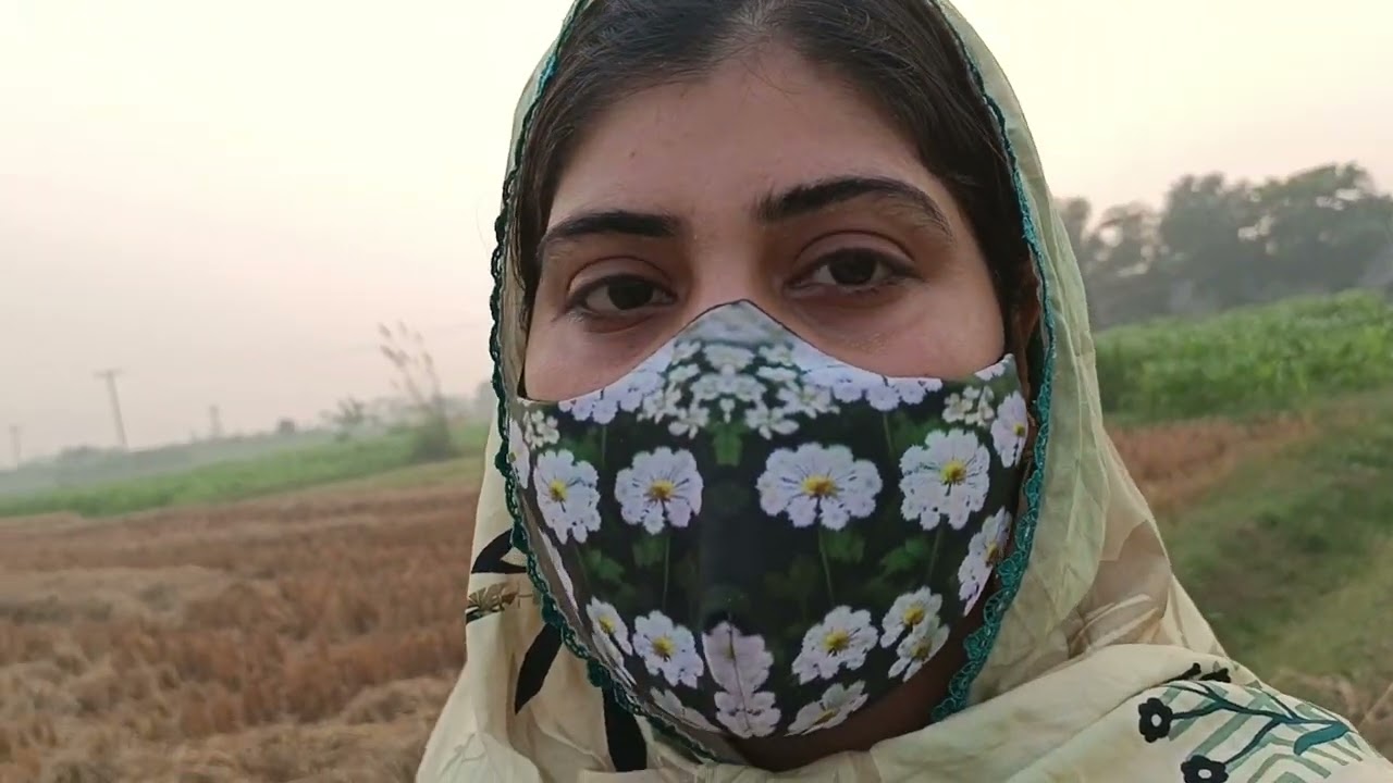 ابو جی نے شلجم کی سبزی لگای