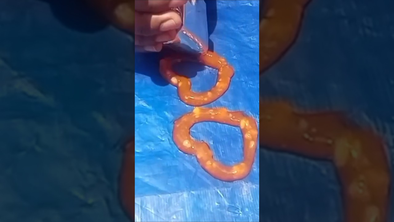 साबुदाना के ऐसे designer पापड़ ना टूटेंगे ना फटेंगे और सालों साल चलेंगे, sabudana designer papad