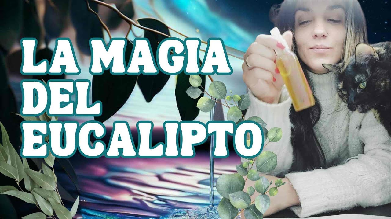 La magia del Eucalipto