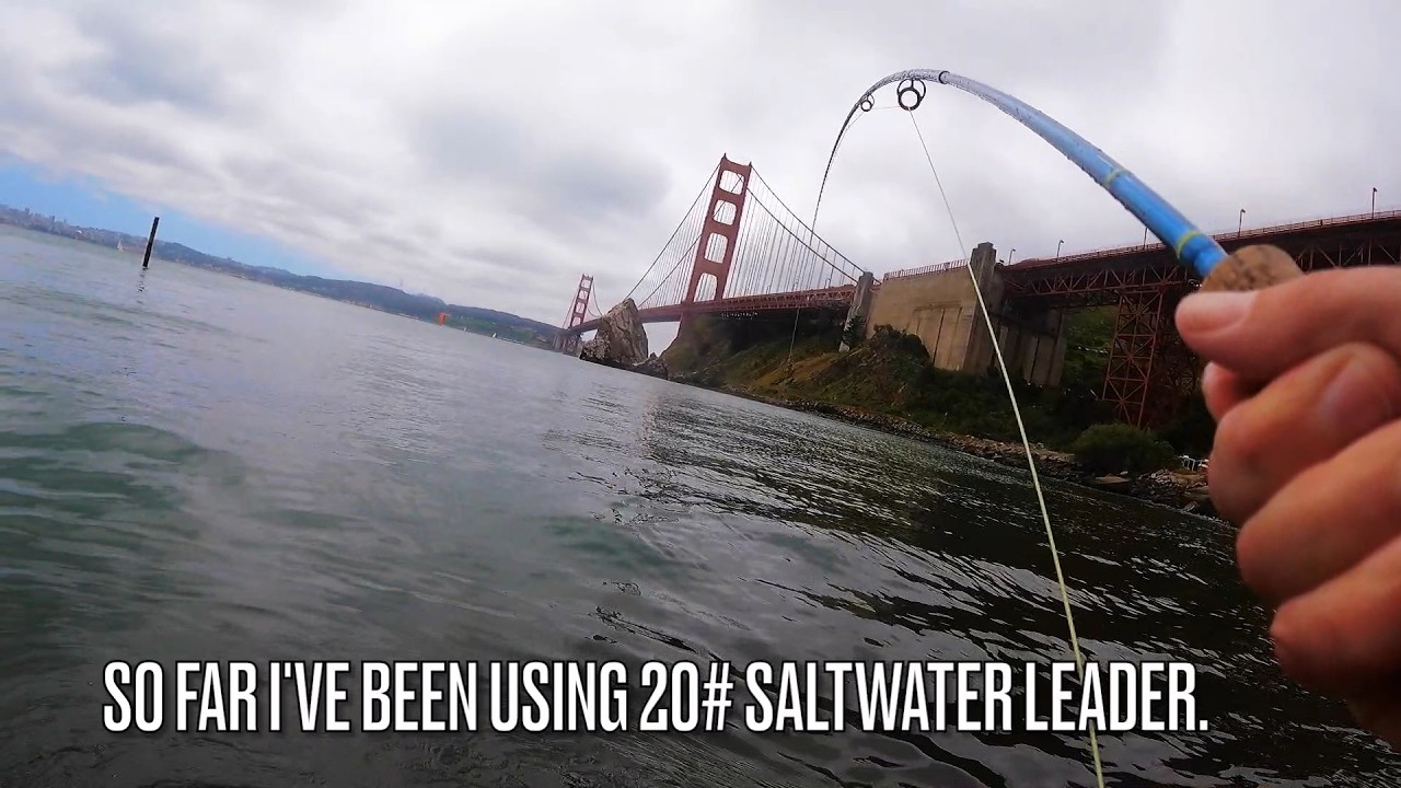 Fly Fishing the San Francisco Bay (Part 1)