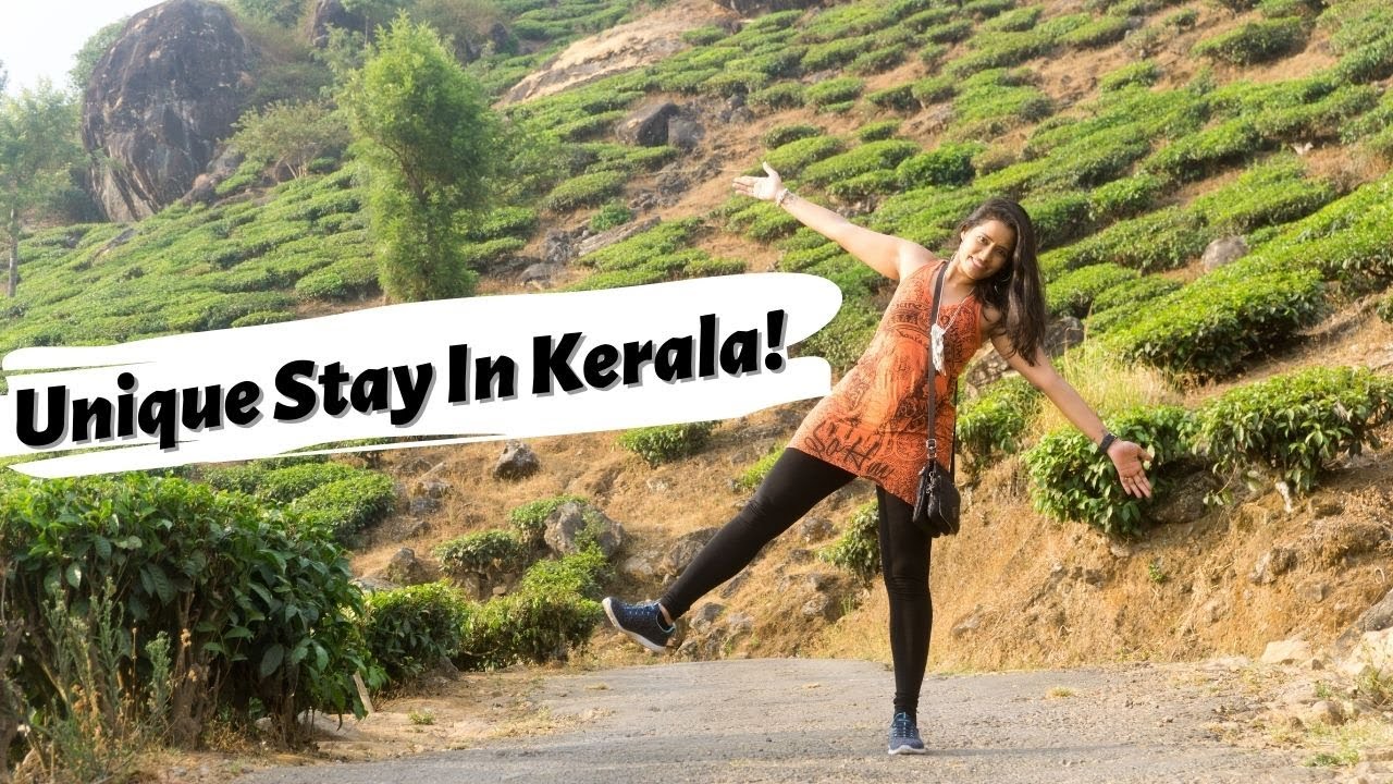 Have You visited Kerala Yet? | Munnar Tea Valley