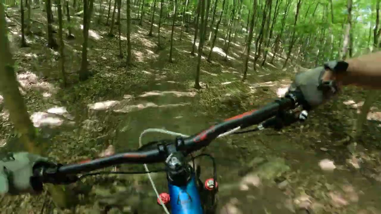 Tárkány DH 2024