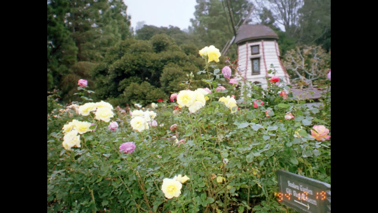P. Yogananda with his voice at Easter service in lake shrine (Part II)