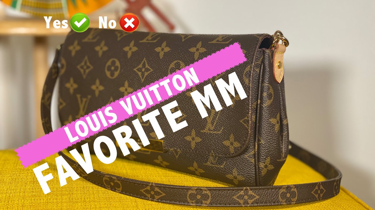 Louis Vuitton Favorite MM | Is it still worth it?