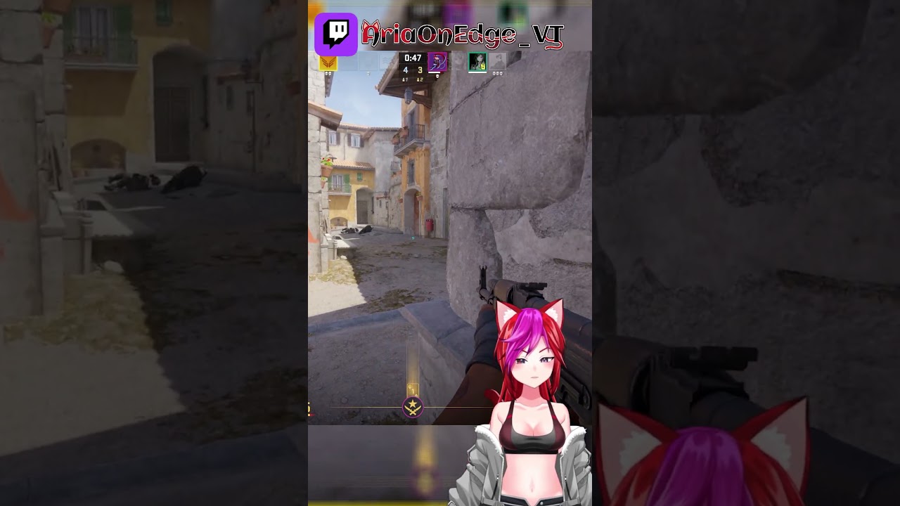 CounterStrike 2 Good thing he gave an AK #vtuber #twitch #vtuberen #funny #cs2 #counterstrike #ak47