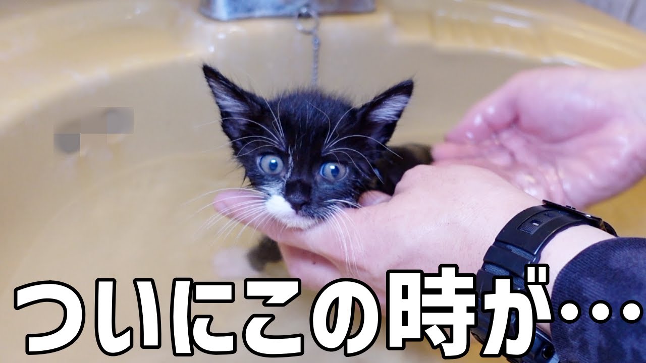 とうとう家族を探す時がやってきました