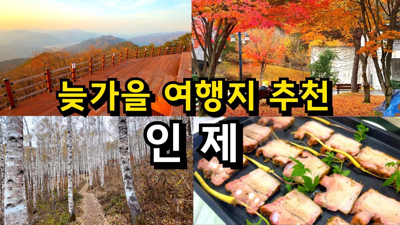 반드시 가봐야 하는 강원도 인제 여행지 Best / 국내여행 겨울여행 추천 (자작나무숲 백담사 만해마을 박달고치 전망대 )