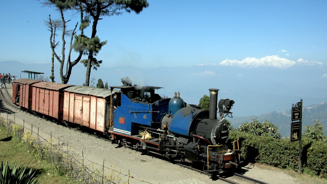 India 2016 - Freight train on the Darjeeling Railway