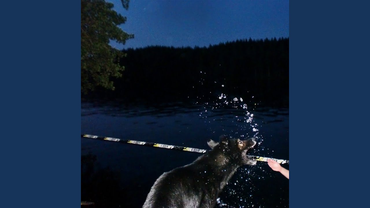 Lääkäri
