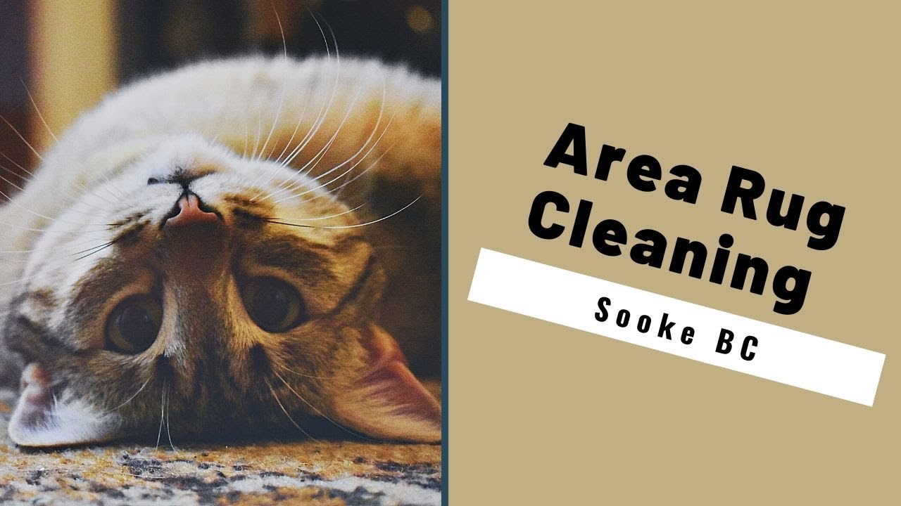 Area Rug Carpet Cleaning Sooke BC by Luv A Rug