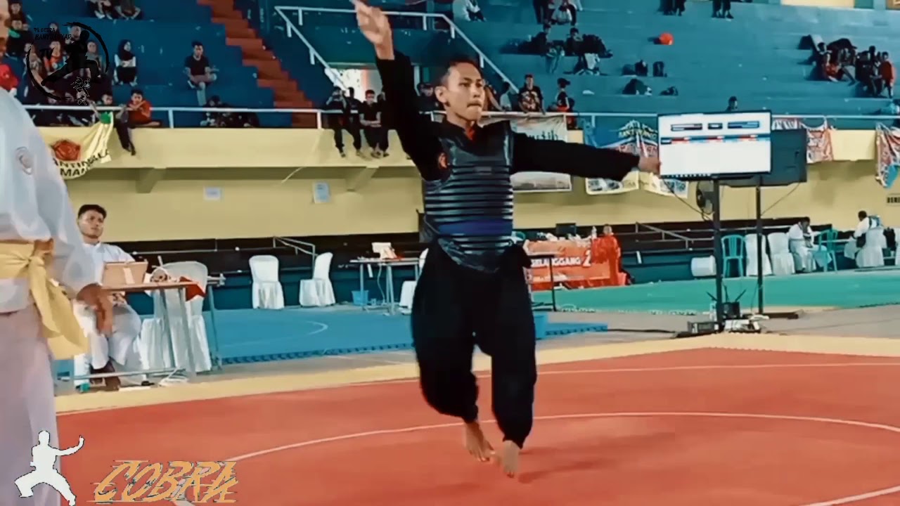 The Best Performance Of Cobra Banyuanyar