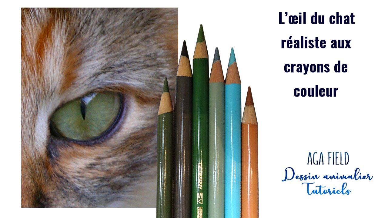 L'oeil du chat olive aux crayons de couleur