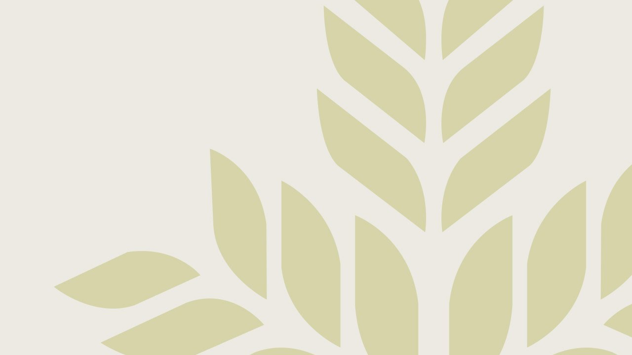 Our Core Values  |  NGHS