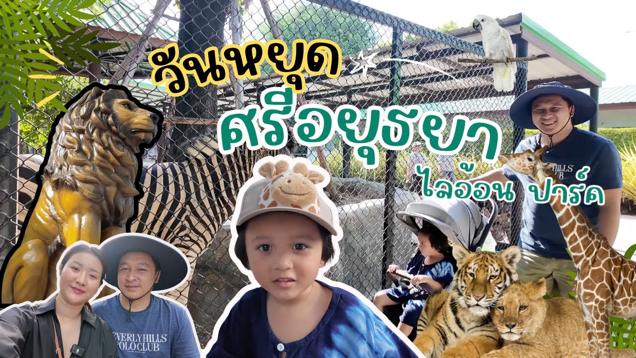 ปี2025 เปิดโซนใหม่ สวนสัตว์ที่ศรีอยุธยา ไลอ้อนปาร์ค, รอบที่ 3แล้วน้องไอรีณชอบมาก, สะอาด ราคาย่อมเยา