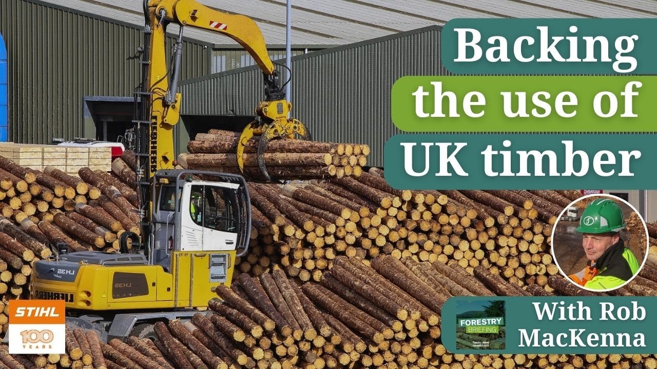 What the UK's sawmills are doing to increase use of British timber I With Rob MacKenna