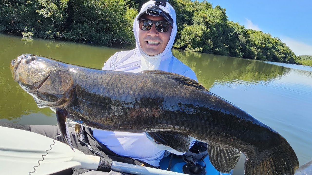 UNO DE LOS LUGARES MAS LINDOS PARA PESCAR TARARIRAS TORNASOLES EN URUGUAY - URUGUAY PESCA