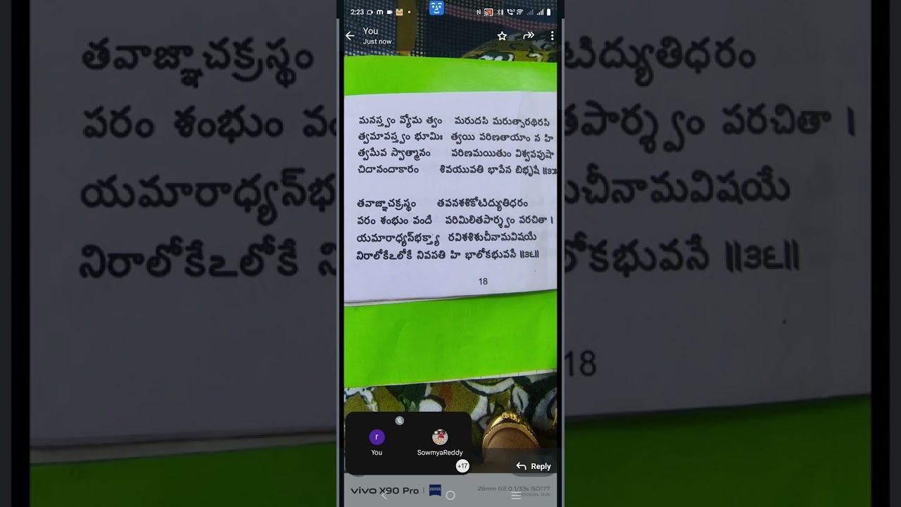 సౌందర్య లహరి 36 శ్లోకం భావం