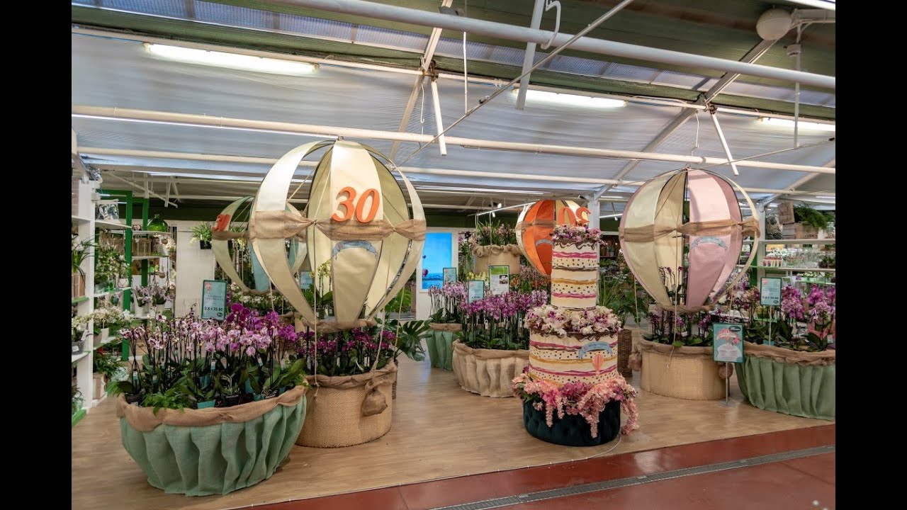30&deg; Mostra delle orchidee 