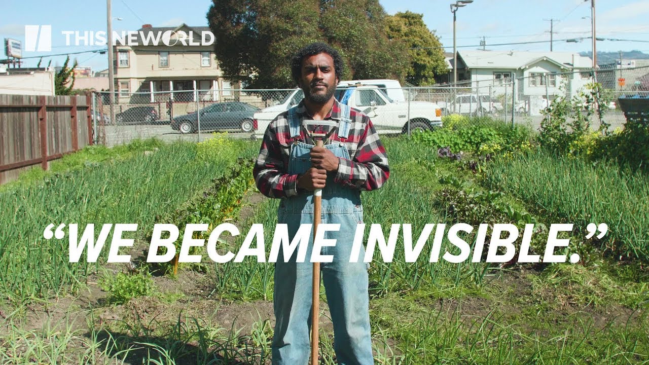 Forgotten Farmers: African-American Land Loss | This New World