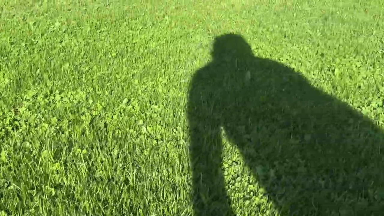 K&eacute;tszikű gyomirt&aacute;s Bofix Garden gyomirt&oacute; szerrel ( l&oacute;here, gyom, minden ami k&eacute;tszikű )