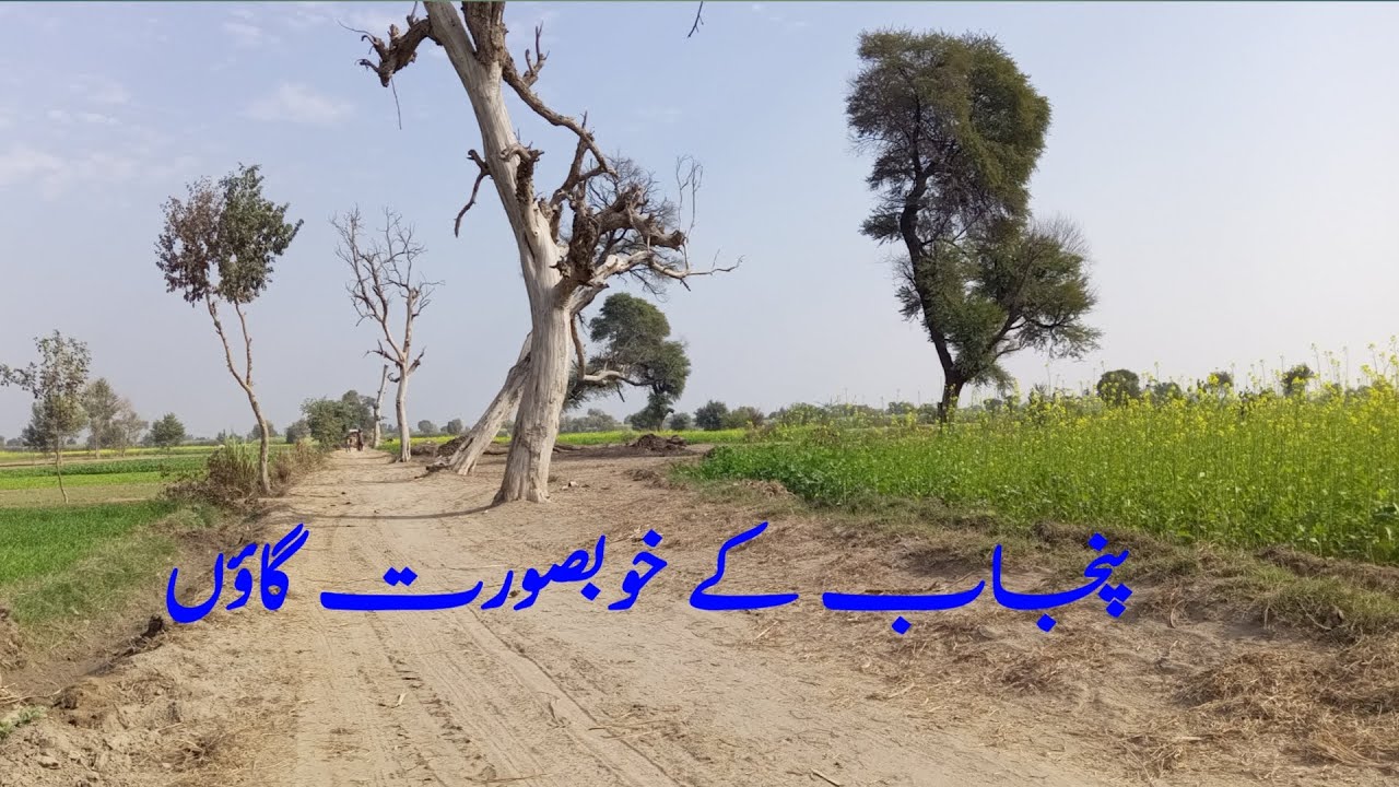 Pakistan ke khubsurat gaon in Punjab  || episode 2 chak 269 || Pakistani village life