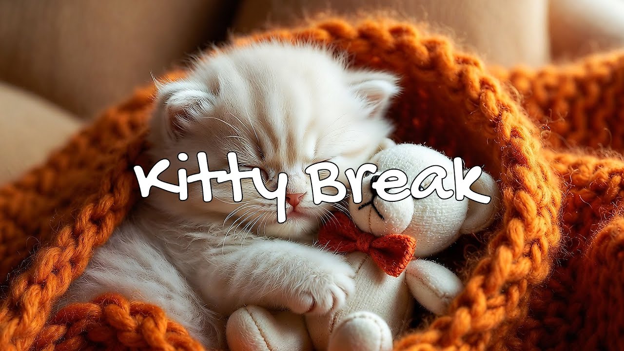 LIVE 🌙 Lofi Rain Radio for Cozy Cat Sleep 😴 | Season 2 | Full Album 🎵