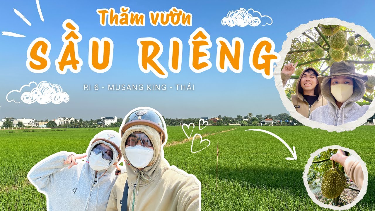 Thăm Vườn Sầu Riêng: RI6, Musang King, Thái | Nhìn Trái Là Muốn “Chốt Đơn” | Vlog #5