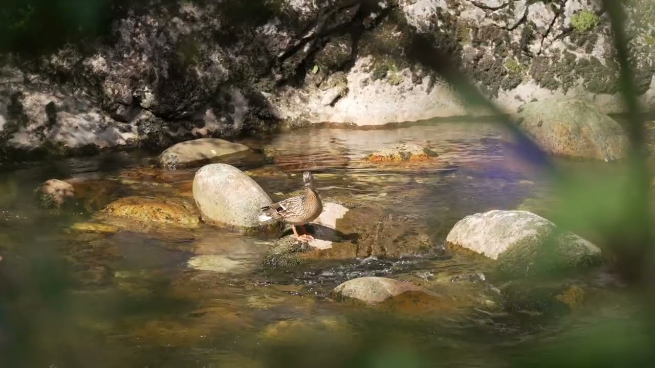 Ecoturismo en el Valle del Nalón