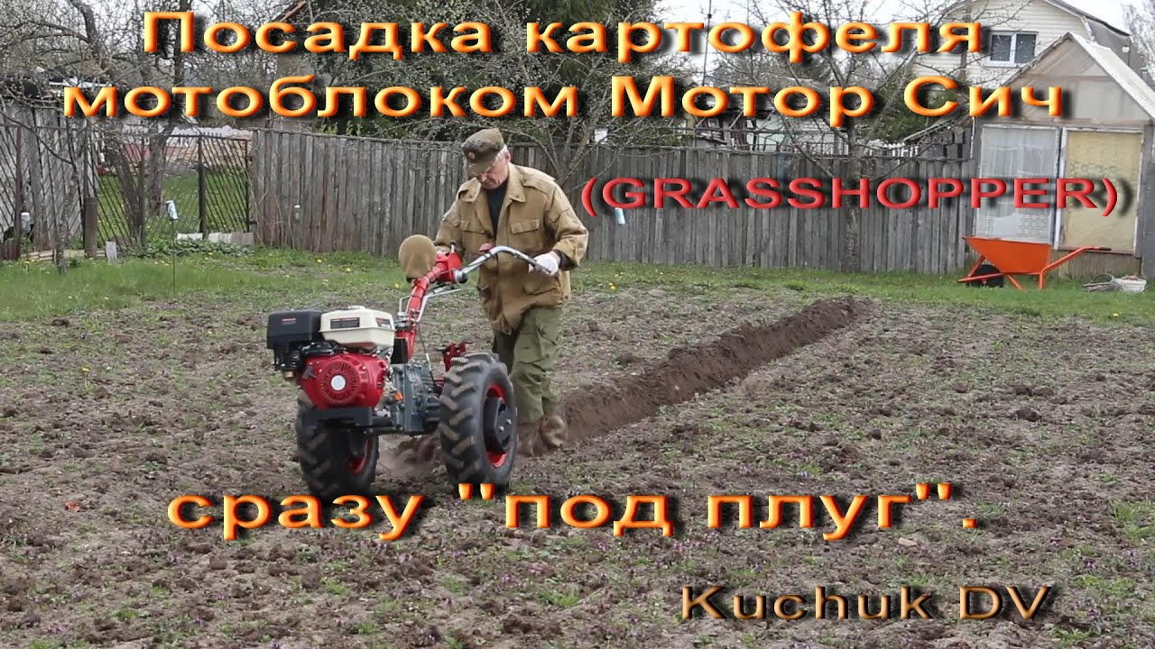 Посадка картофеля мотоблоком Мотор Сич(GRASSHOPPER) сразу 