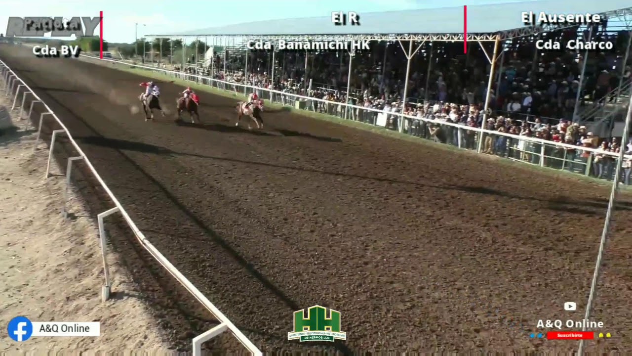 Ausente Vs R Vs Patriota