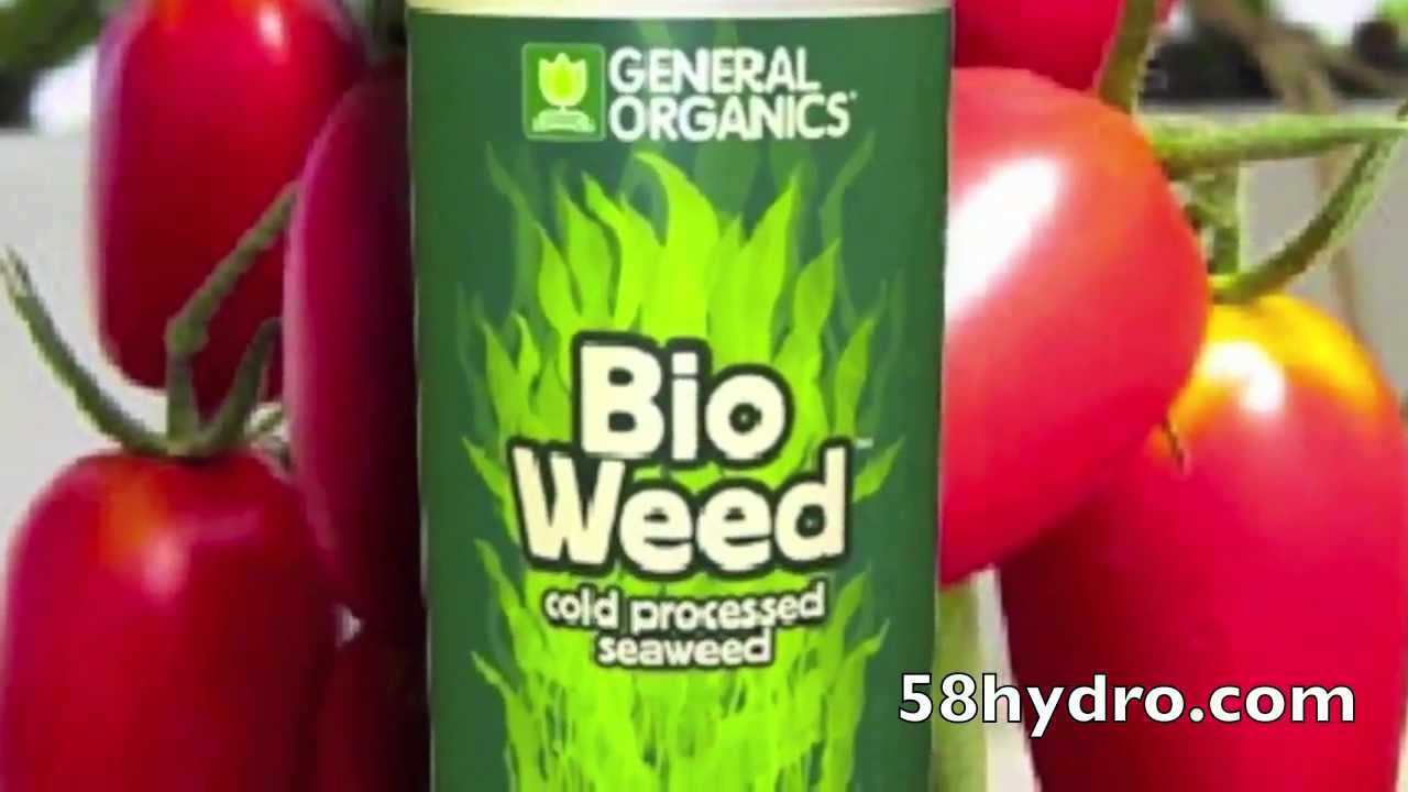 Rocky Mountain Hydroponics Grows With General Organics