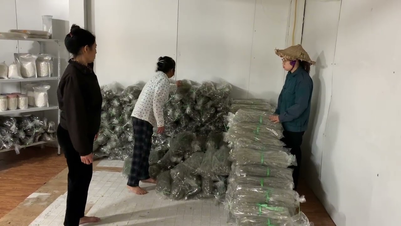 Bà Lan Soc Khi Biết Sự Thật Tất Cả 