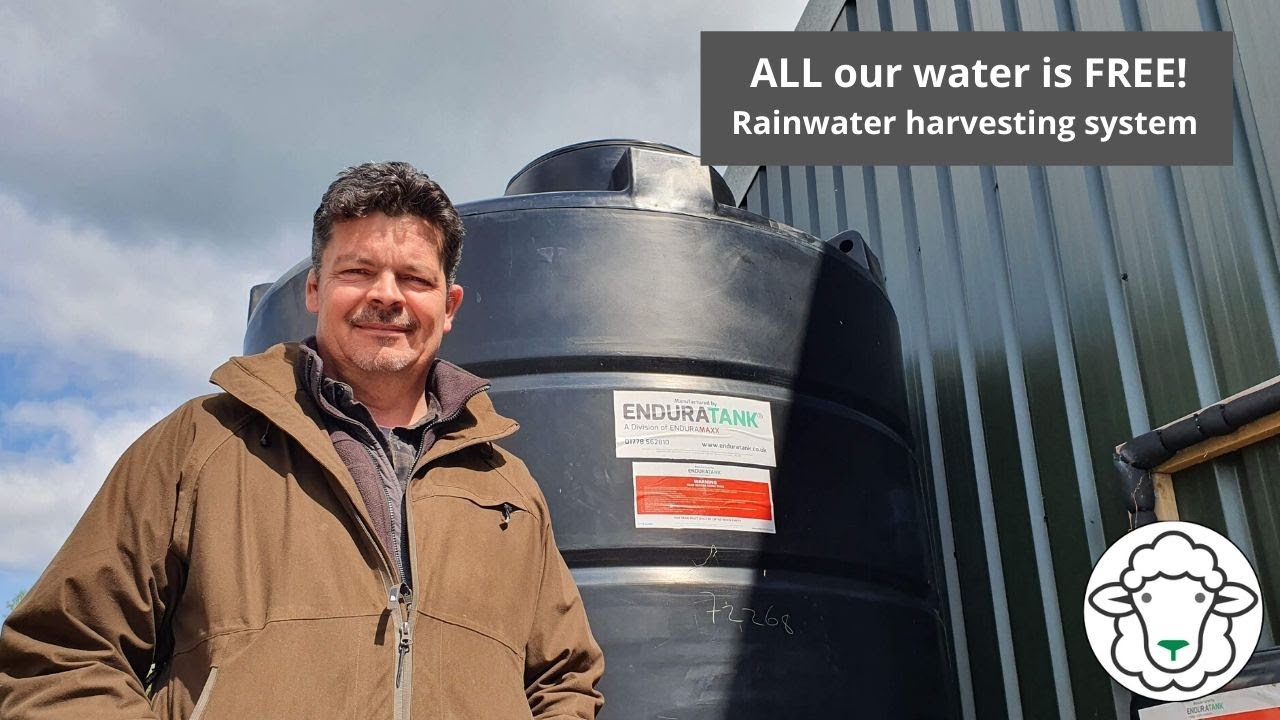 ALL our water is FREE! - how does our rainwater harvesting system work?